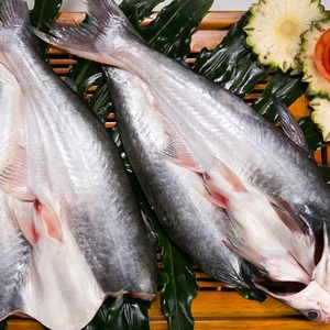 Produit de haute qualité, nouveau, du delta du Mékong, Vietnam, emballé en vrac, poisson papillon congelé, pangasius - Product Image 4