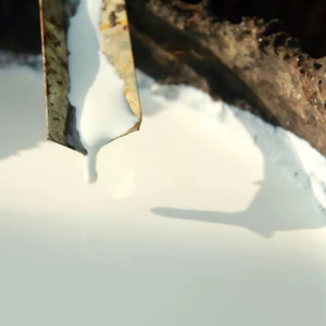 Látex natural LA-Caucho de Vietnam con suministro de calidad estable, proveedor de caucho OEM y ODM - Product Image 4