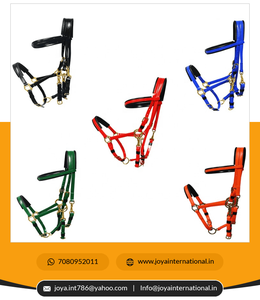 Vente directe d'usine indienne de haute qualité vert foncé Endurance Design Pvc bride et rêne pour chevaux pliables - Product Image 6