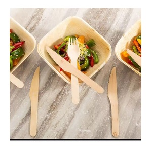 Ensemble de couverts jetables en bagasse de canne à sucre compostable et écologique Global Nexo Export, fourchette, cuillère, couteau, Maharashtra, pour l'extérieur - Product Image 4