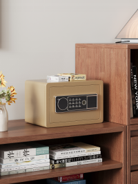 Coffre-fort biométrique à empreintes digitales, clavier numérique, double verrouillage, coffre-fort de sécurité pour la maison et le bureau - Product Image 2