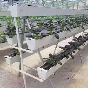 Sistemas Hidropónicos de Grado Comercial y Torre Aeropónica para Soluciones de Producción de Cultivos en Interiores Sostenibles - Product Image 6