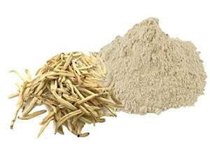 ผง Shatavari ออร์แกนิก100% สารสกัดจากพืชเพื่อสุขภาพแบบมีเป้าหมาย - Product Image 2