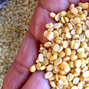 Semillas de algodón secas de grado premium, productos agrícolas al por mayor y al por menor - Product Image 1