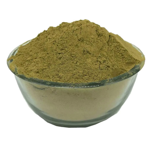 Té de Hojas de Tulsi 100% Orgánico OEM/ODM para Reforzar el Sistema Inmunológico y el Bienestar Respiratorio, Tulsi Puro en Polvo para Hombres y Mujeres - Product Image 1