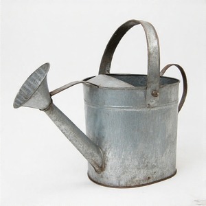 Arrosoir galvanisé d'inspiration champêtre avec bec de précision pour arroser sans effort les plantes à l'intérieur et à l'extérieur - Product Image 2