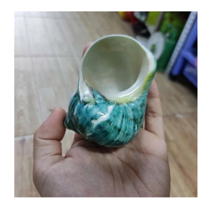 Los amantes del arte de conchas usan conchas en blanco y verde de 99 Gold Data Vietnam para una exhibición y decoración elegantes - Product Image 2