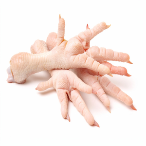Patas, Alas, Muslos y Cabezas de Pollo Congeladas de Grado de Exportación en Empaque Seguro en Caja - Product Image 6