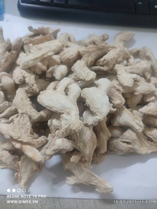 รากขิงอบแห้งจำนวนมากจากเวียดนามผลิตภัณฑ์ทางการเกษตรของบริษัท Bao Tram Anh - Product Image 2