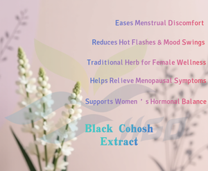 Suministro directo de fábrica HGO de extracto de cohosh negro natural puro (grado alimenticio saludable) Especificación 10:1 (extracto de proporción) - Product Image 5
