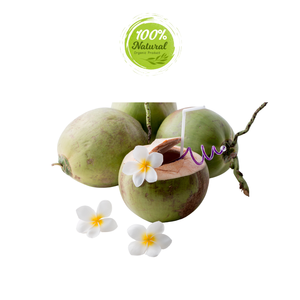 มะพร้าวสดจากเวียดนามของขวัญธรรมชาติสดชื่นจากผลิตภัณฑ์ทางการเกษตร - Product Image 2