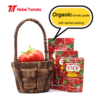 Sachet personnalisé sachet de pâte de tomate Afrique/Moyen-Orient Market Focus Sachet Tomates Conteneurs Prix