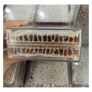 Pastel de panal de sabor dulce puro a la moda, multiflor, miel de abeja, origen de Vietnam, gran oferta, embalaje a granel - Product Image 1