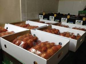 Ramboutan congelé IQF en vrac du Vietnam avec une bonne texture de bon goût et un approvisionnement constant pour le marché mondial - Product Image 6