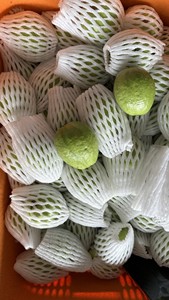 Xoài tươi Việt Nam xuất khẩu với bao bì linh hoạt và khả năng xếp hàng trái cây hỗn hợp trong container. - Product Image 6