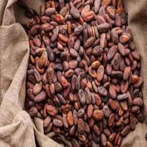 Premium Vietnamese Natural Unsweetened Cocoa <b>Beans</b> Carefully Selected Export Quality Standard For Sale - Product Image 1