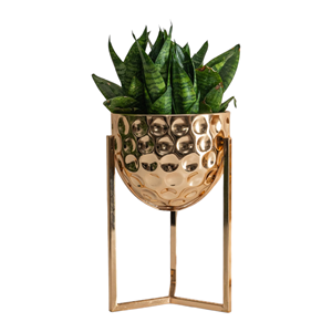 Maceta de metal de diseño martillado hecho a mano de la mejor calidad para restaurante Hotel uso doméstico en precio al por mayor - Product Image 6