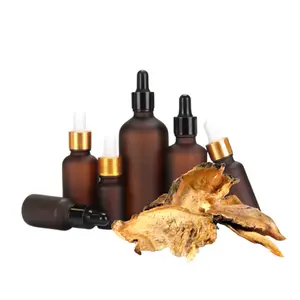 Angelica minyak akar kosmetik untuk industri menggunakan pabrik menjual minyak esensial Angelica dalam jumlah besar pada tingkat rendah