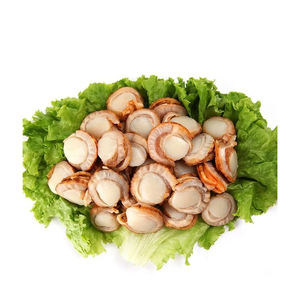 Carne de Vieira Hervida y Congelada BQF Premium sin Concha, Empaque Personalizado para Compras al por Mayor con Procesamiento Confiable - Product Image 1