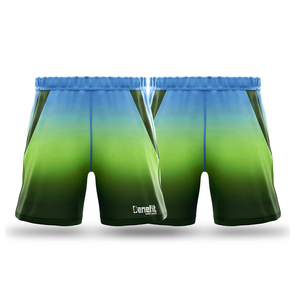 Shorts de sport confortables multi-couleurs pour hommes Shorts de jogging pour hommes Nouvelle arrivée Jogger Jogging Shorts - Product Image 2