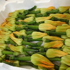 FLORES DE CALABAZA CONGELADAS LISTO PARA COCINAR/LIMPIO Y SEGURO/SUMINISTRO A GRANEL PARA COMPRADORES INTERNACIONALES - Product Image 1