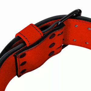 Breathable Adjustable Weightlifting Power <b>Belt</b> with Professional Protection and Customizable Options - Product Image 4