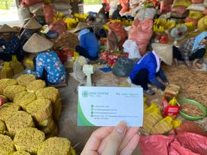 2025 CULTURE CASSIA CIGARETTE VIETNAM ÉPICÉ CANNELLE PRIX-BON PRIX CONTACT + 84 869981238 - Product Image 3