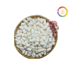 Vente en gros Silkworm Cocoon pour les fabricants-Qualité supérieure aux meilleurs prix du marché. - Product Image 1