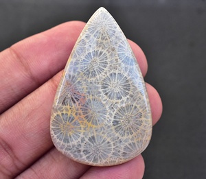 Meilleure qualité!!, Grade supérieure Cabochon de corail en pierre précieuse de fossile de corail, ample pour bague, bijoux en argent - Product Image 5