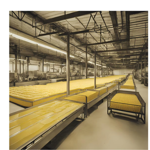 Salted Sterilized Butter <b>Box</b> Packaging Carton Halal & ISO Certified 80% Fat Content 18 Month Shelf Life for Industrial Use - Product Image 1