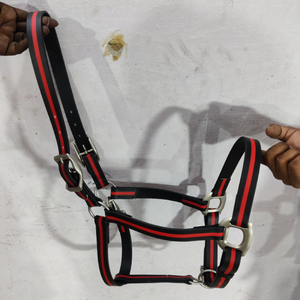 Cuir véritable Cheval Rembourré Halter Fancy Stitched Leather Horse Halter Disponible à un prix abordable - Product Image 5