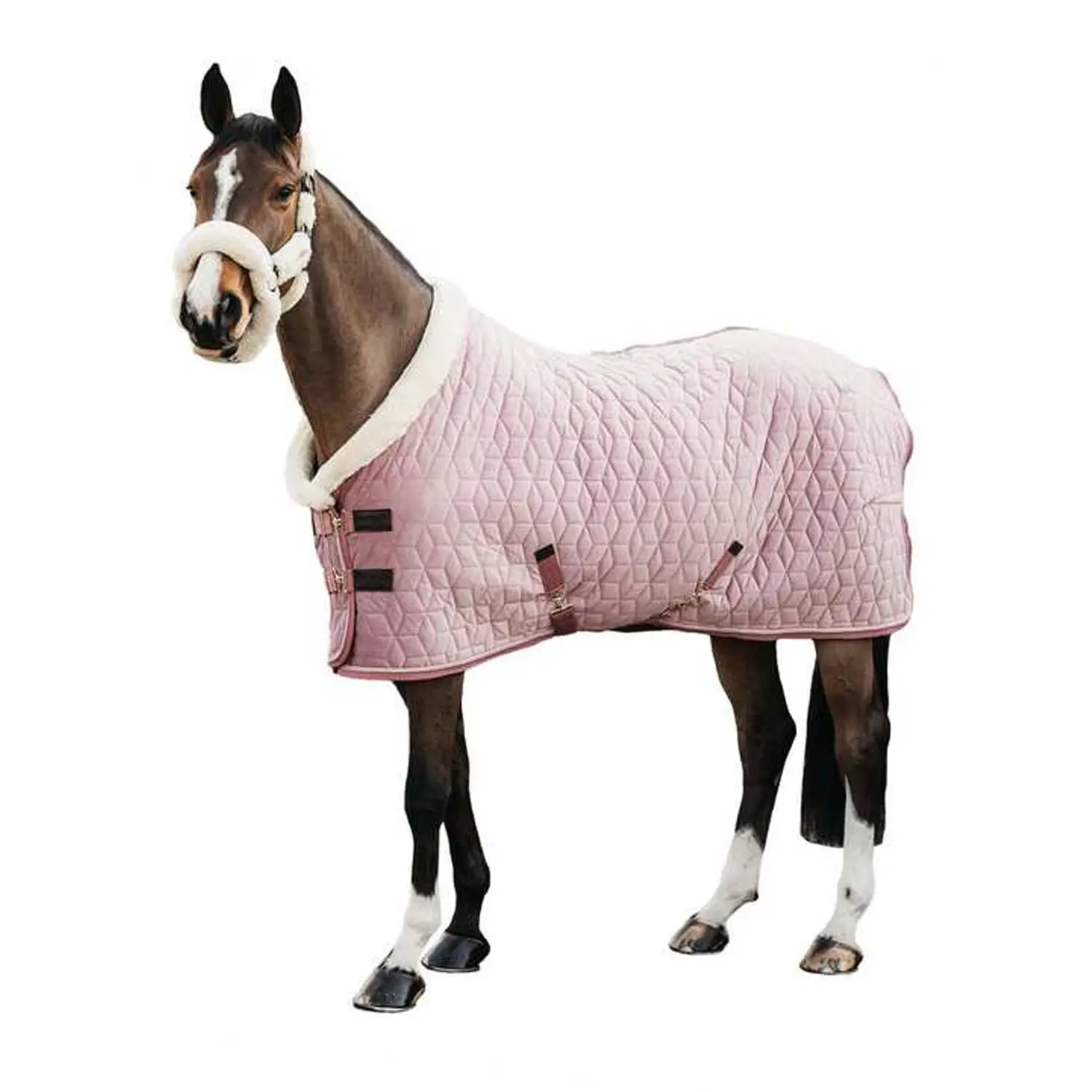 1000D قماش أكسفورد الشتاء ، بطانية الحصان الدافئة بساط ثابت ، بطانية الحصان مع شعار مخصص