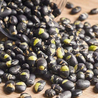 Crispy Roasted Black Soy Nuts High Protein Vegan Snack OEM ODM Wholesale Supplier Export From Vietnam