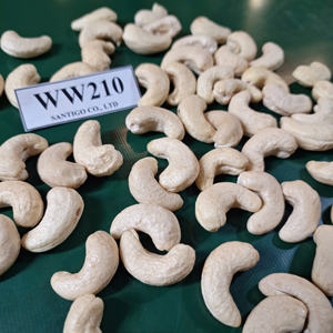 ถั่วแซนติโกและเมล็ด WW210มะม่วงหิมพานต์คาจูสำหรับขายในเวียดนาม - Product Image 1