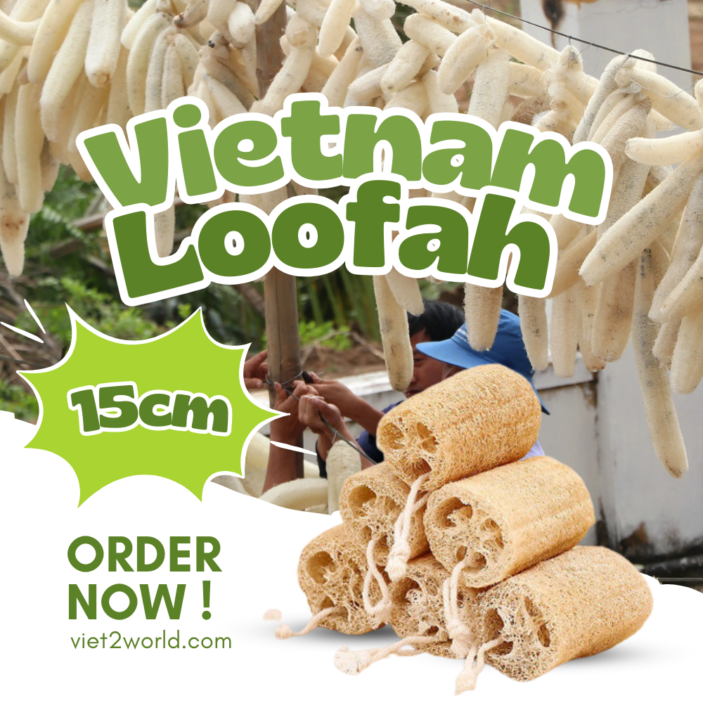 Viet Nam импортная губка для ванны Loofah для отшелушивания и чистки щеток для ванны губки и скрубберы