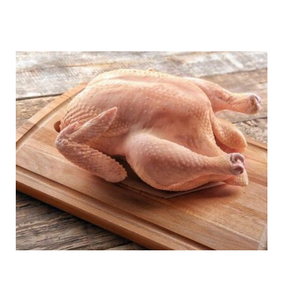 Pavo Entero Halal Fresco Congelado, Carne de Pavo Cuidadosamente Procesada para Servicios de Alimentación y Venta al por Menor - Product Image 3