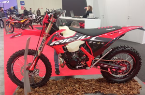 Nouvelles performances pour la moto 2025 Rie/ju MR PRO 300i Adventure avec garantie de 2 ans prête à expédier - Product Image 3