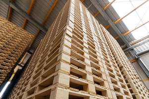 Usine Directe Palettes En Bois Robuste Grandes Palettes Européennes Empilables Double Face Bois Fabriqué en Belgique Personnalisé - Product Image 3