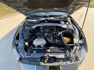 2018 pour F ou d She lby G-T 350 modèle de voiture - Product Image 3