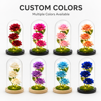 Rose LED en gros sous cloche en verre, rose éternelle artificielle, boîte cadeau lumineuse pour la Saint-Valentin et la Fête des Mères