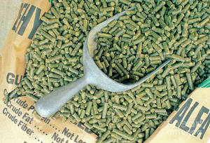 VENTA CALIENTE PREMIUM Pellets de heno de alfalfa DISPONIBLES AHORA - Product Image 4