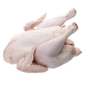 Großhandel günstiger Preis beste Qualität halal gefrorenes ganzes Huhn Halal Huhn zum Verkauf weltweit Exporte
