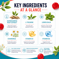 Gummies d'ashwagandha véganes sans OGM, 60 unités, pour le bien-être quotidien et la relaxation, avec vitamines D3 et B6, marque privée