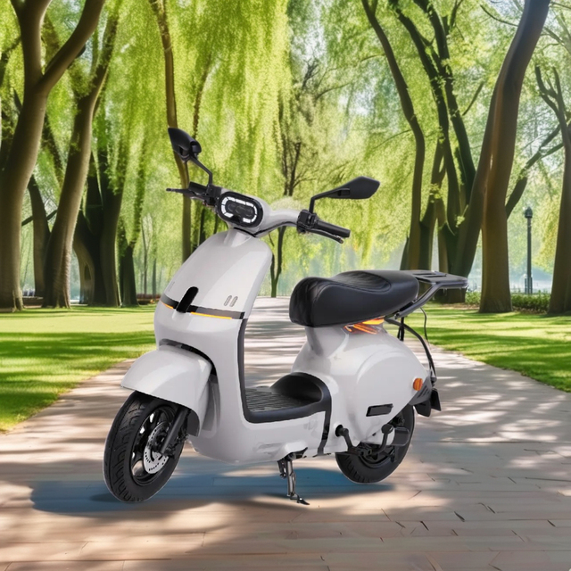 Top Selling 1200W Long Range Electric Motorcycle for City Commuting Double Seat Touring 72V50AH Battery