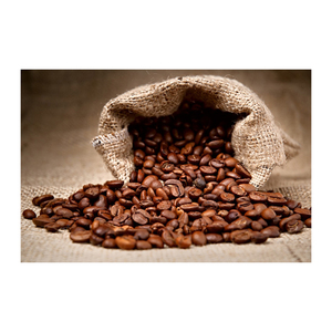 เมล็ดกาแฟราคาถูก ขายส่งจำนวนมาก เกรดพรีเมียม - Product Image 4