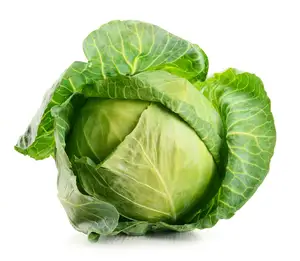 Wholesales Organic Fresh Cabbage To Make Salad in Meal