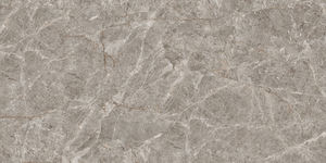 Fabrication de carreaux de porcelaine vitrifiée modèle spécial d'excellente conception en Inde pour la piscine. - Product Image 4