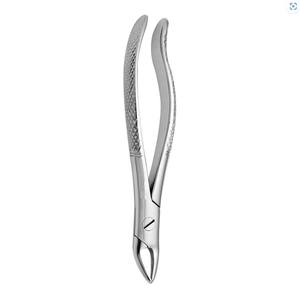 Pince à dents en acier inoxydable de qualité chirurgicale manuel Tomes racine anglais motif pince d'extraction dentaire Instruments dentaires - Product Image 5