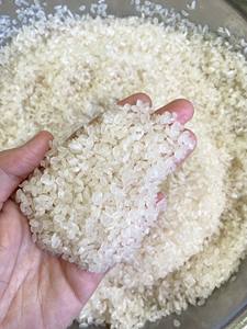 Arroz corto Calrose de Vietnam/arroz medio/redondo de América con calidad superior de TOP PROVEEDOR - Product Image 4