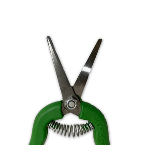 Vườn kéo cắt tỉa Hoa bỏ qua pruner Kéo cắt hoa bán buôn giá tốt nhất Vineyard kéo cắt cây dụng cụ làm vườn - Product Image 3